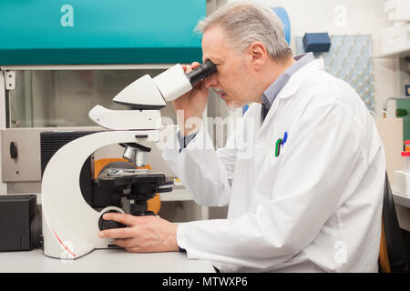 Scientifique principal à l'aide d'un microscope dans son laboratoire Banque D'Images
