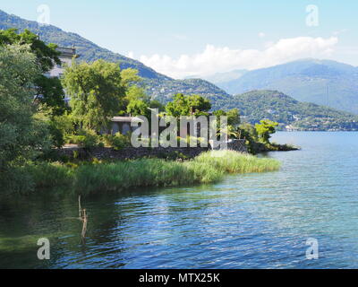 Beau Rivage de l'île de Brissago suisse chez Alpine Lake Maggiore paysage près de ville européenne d'Ascona en Suisse Banque D'Images