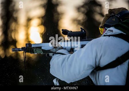 En étudiant le Cours sur la guerre d'hiver de base suédois suédois utilise AK 5C d'un fusil à tirer sur des objectifs, tout en en skis au cours de l'exercice de formation de terrain en Avidsjaur, Suède, le 30 janvier 2016. Les Marines américains ont participé à l'aide d'un programme national de formation qui a porté sur la survie par temps d'hiver et sa capacité à effectuer des opérations d'infanterie et de diriger de petites unités par temps froid. (U.S. Marine Corps photo par le Sgt. Marcin Platek/libérés) Banque D'Images