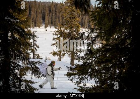 En étudiant le Cours sur la guerre d'hiver de base suédoise effectue un mouvement de mars sur les skis pendant le domaine d'entraînement à Avidsjaur, Suède, le 30 janvier 2016. Les Marines américains ont participé à l'aide d'un programme national de formation qui a porté sur la survie par temps d'hiver et sa capacité à effectuer des opérations d'infanterie et de diriger de petites unités par temps froid. (U.S. Marine Corps photo par le Sgt. Marcin Platek/libérés) Banque D'Images