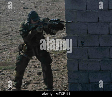 Un soldat norvégien agit comme un ennemi au cours d'entraînement pour les opérations en zone urbaine avec des soldats peshmergas près d'Erbil, Irak le 17 janvier. Les soldats néerlandais et norvégien, une partie de la Formation Centre de Coordination du Kurdistan, a supervisé la journée de formation qui comprenait des techniques de mouvement, contre les IED et les procédures du point de contrôle d'entrée. L'KTCC est une coalition nationale dédiée à la formation, des conseils et l'assistance des forces kurdes pour vaincre ISIL en Iraq. Banque D'Images