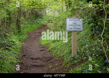 Une liquidation lane ou boueuses, chemin à travers les bois avec un panneau disant 'national trust à l'longstone et les downs' à mottistone sur l'île de Wight. Banque D'Images