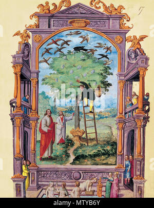 569 Splendor Solis - Traité d'Alchimie - Les Philosophes sous l'arbre (Les Sept Paraboles) Banque D'Images