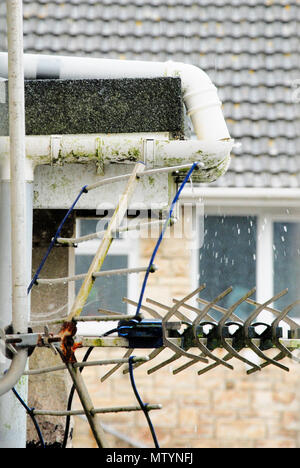 Portland. 31 mai 2018. La pluie lourde d'un caniveau à Fortuneswell, Île de Portland Crédit : Stuart fretwell/Alamy Live News Banque D'Images