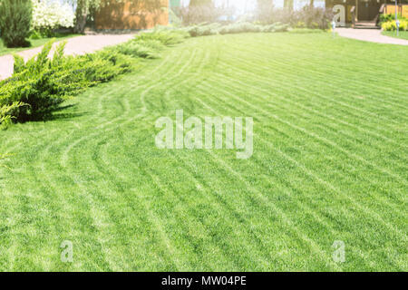 Rangées de tondre des pelouses vertes à résidence de campagne, avec un pavillon d'été. Frais de couverture des cèdres. La conception de paysage et concept de jardinage Banque D'Images