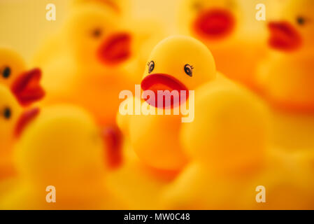 Groupe de canards en caoutchouc. Image conceptuelle de jeunes canetons de parler les uns aux autres ou commérer sur les médias sociaux et les réseaux des thèmes connexes. Banque D'Images