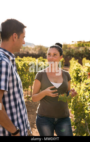 Beau couple aux cheveux noirs dans le vignoble d'avoir une conversation sur une journée ensoleillée Banque D'Images