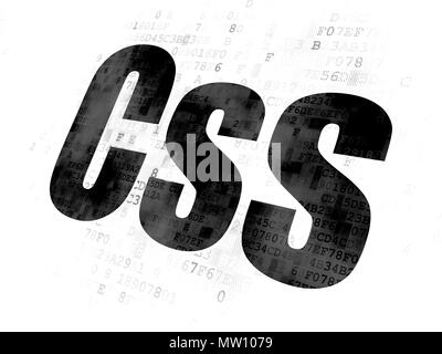 Concept de programmation : texte noir pixélisé sur CSS de base numérique Banque D'Images