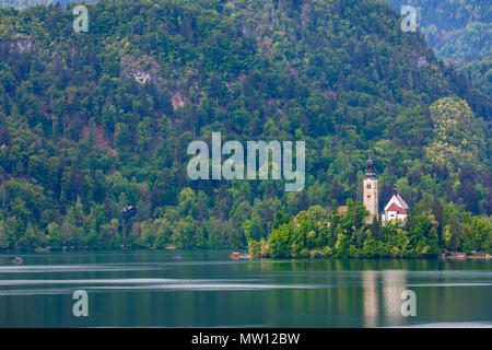 Twilight à Lac de Bled avec Saint Marys Église de l'Assomption en Slovénie. Banque D'Images