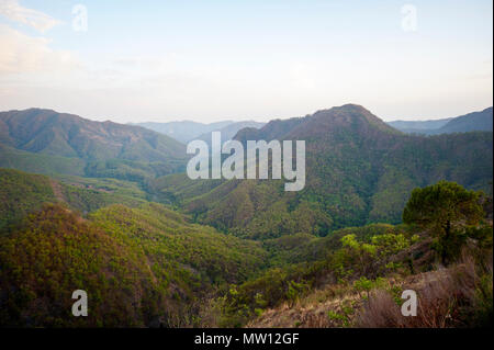 Jungle dense sur Nandhour Kumaon Hills, vallée, Uttarakhand, Inde Banque D'Images