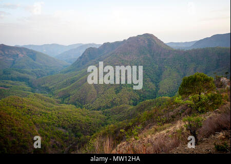 Jungle dense sur Nandhour Kumaon Hills, vallée, Uttarakhand, Inde Banque D'Images