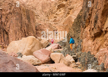 Femme Hiker with backpack profitez d'afficher dans le désert Banque D'Images