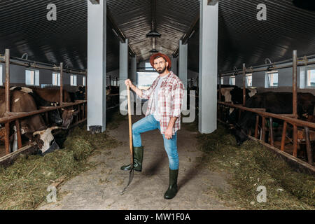 Agriculteur de barbu beau hat standing et fourche tout en alimentant les vaches à stall Banque D'Images