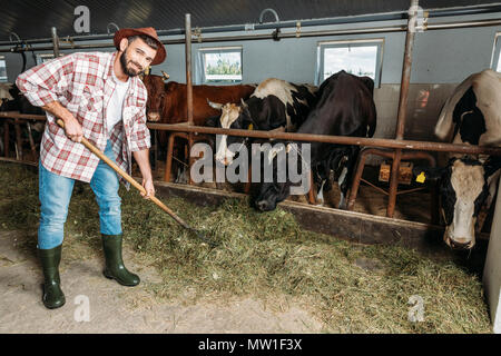 Farmer holding pitchfork et smiling at camera tout en alimentant les vaches à stall Banque D'Images