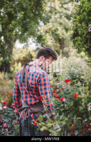 Vue arrière de jardinier dans beau jardin avec l'aire de marcher dans diverses plantes et fleurs Banque D'Images