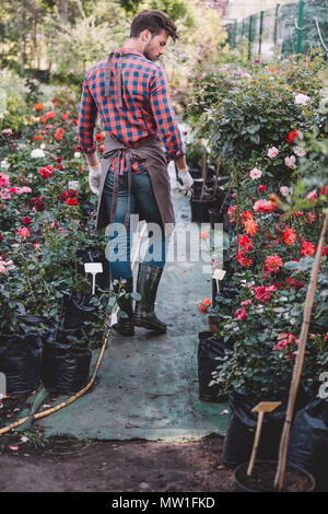 Vue arrière de jardinier dans beau jardin avec l'aire de marcher dans diverses plantes et fleurs Banque D'Images