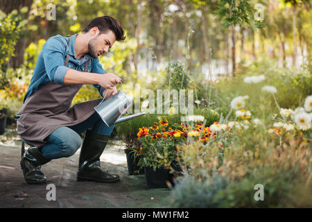 Vue latérale du jeune jardinier dans un tablier et des bottes en caoutchouc avec bidon à la main watering plants in garden Banque D'Images