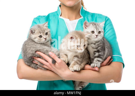 Cropped shot de trois adorables chatons holding vétérinaire isolated on white Banque D'Images