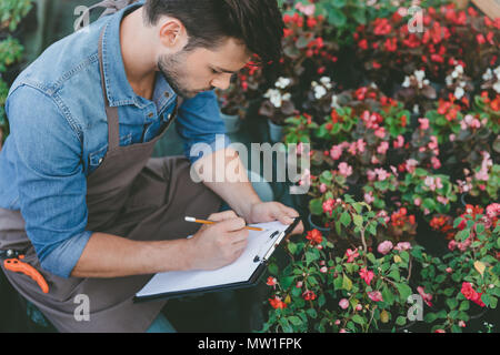 Focus sélectif de tablier jardinier dans des notes sur le presse-papiers lors de la vérification des émissions de fleurs Banque D'Images