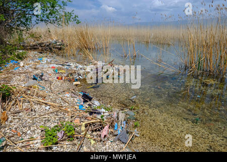 Lavé des déchets jusqu'au bord du lac, le lac d'Ohrid près de Udenisht, région, l'Albanie Korca Banque D'Images