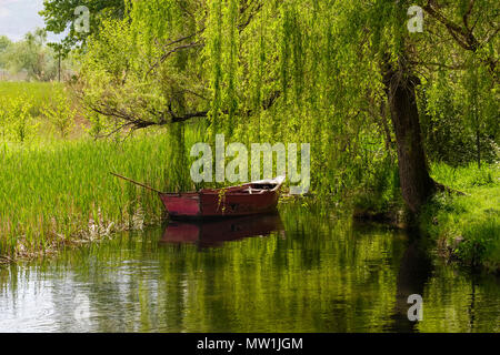 Vieux bateau dans le lac sur la rive, Drilon Parc National près de Pogradec, région, l'Albanie Korca Banque D'Images