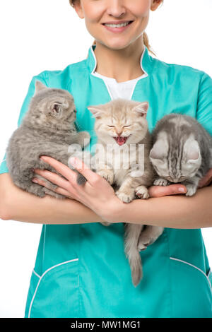 Cropped shot of smiling holding vétérinaire adorable chatons isolated on white Banque D'Images