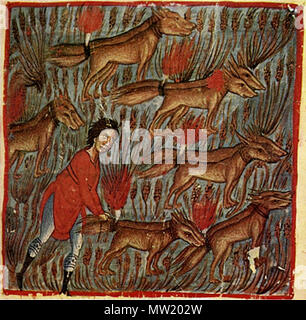 . Anglais : Samson et les Renards, miniature (Juges 15:1-8 : 'Samson et a pris trois cents renards, et prit des torches, et tourna les renards queue contre queue, et mit un flambeau entre deux queues. Quand il avait mis le feu aux torches, il a libéré les renards dans les blés des Philistins.'), Oktateuch, monastère de Vatopedi, 602, fol. 440r, détail Références : Weitzmann : aus den Bibliotheken des Athos, n° 2 . 13e siècle. du Moyen Âge, inconnu 627 602 Manuscrits Vatopedi Samson et les Renards Banque D'Images