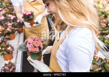 Smiling woman holding Flowers par homme jardinier dans les émissions de Banque D'Images