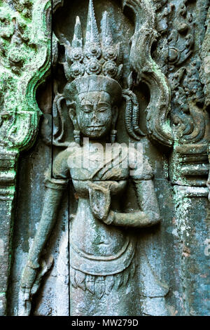 Antient reliefs de danseur, Temple de Ta Prohm à Angkor Wat, au Cambodge complexe Banque D'Images