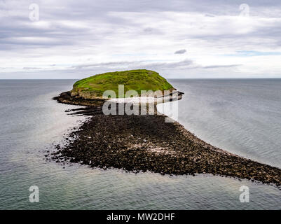 Vue aérienne de l'île de macareux, le Pays de Galles, Royaume-Uni. Banque D'Images