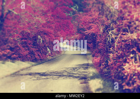 Aventures de voyage routier.Nature et voyage voyage.route et destination montagne Banque D'Images