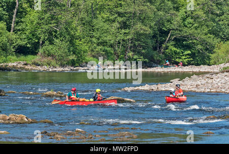 Rivière SPEY SPEYSIDE TAMDHU ECOSSE CANOE CANOÉISTE CINQ CANOTS AVEC LES PERSONNES ÉVITANT LES ROCHERS DANS LES RAPIDES DE LA RIVIÈRE AU PRINTEMPS Banque D'Images