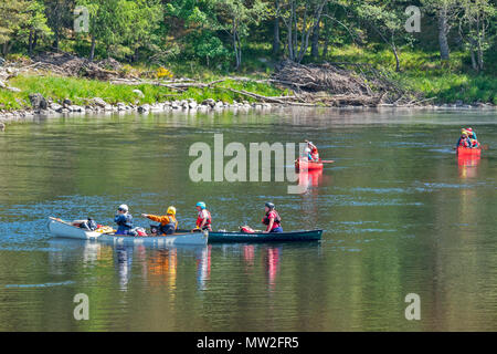 Rivière SPEY SCOTLAND SPEYSIDE TAMDHU CANOÉISTE CANOË QUATRE CANOTS AVEC LES GENS SUR UNE GRANDE PISCINE SUR LA RIVIÈRE AU PRINTEMPS Banque D'Images