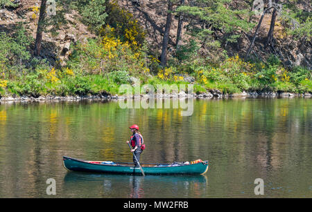 Rivière SPEY SCOTLAND SPEYSIDE TAMDHU CANOÉISTE CANOË CANOË VERT AVEC PERSONNE SUR LA RIVIÈRE AU PRINTEMPS Banque D'Images