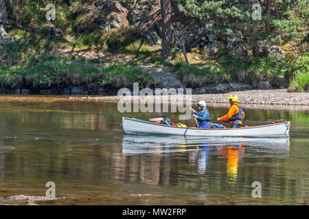 Rivière SPEY SCOTLAND SPEYSIDE TAMDHU CANOÉISTE CANOË CANOË GRIS AVEC DEUX PERSONNES SUR LA RIVIÈRE AU PRINTEMPS Banque D'Images