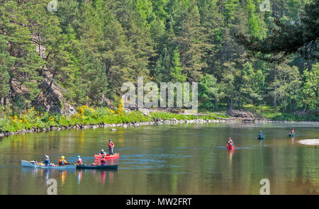 Rivière SPEY SPEYSIDE TAMDHU ECOSSE CANOE CANOÉISTE SIX CANOTS AVEC LES GENS SUR UNE GRANDE PISCINE SUR LA RIVIÈRE AU PRINTEMPS Banque D'Images