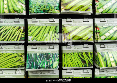 Sachets de graines de haricots divers en vente dans un centre jardin. Banque D'Images