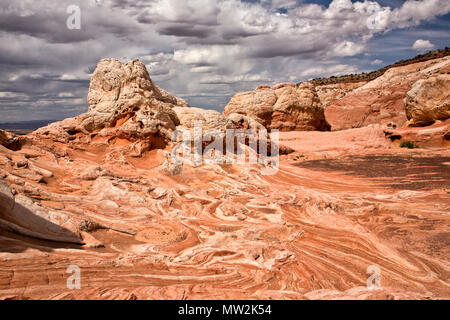 Vue sur la 'White Pocket'formation géologique en Arizona Banque D'Images