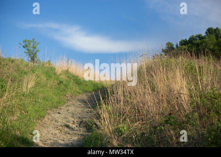 Un sentier de randonnée dans la région de Pilot Knob préservation à Minneapolis, Minnesota, USA. Banque D'Images