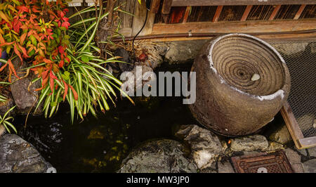 Petit jardin Japonais à l'ancienne ville de Kyoto, au Japon. Banque D'Images