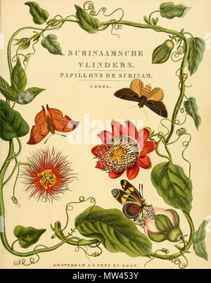. Page de titre . 1848. Jan Sepp (1778 - 1853) 552 Sepp-Surinaamsche vlinders - Page Titre Banque D'Images