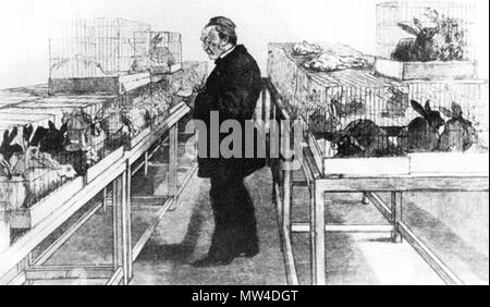 . Anglais : Louis Pasteur en observant les lapins injectés avec le virus de la rage. 15 septembre 1888. 470 lapins Pasteur inconnu Banque D'Images
