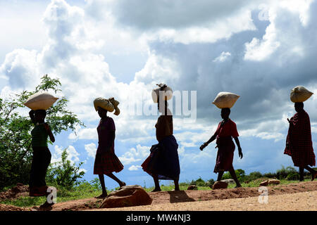 L'Ouganda, le Karamoja, Kaabong, marche Karamojong femmes portent sur la tête des marchandises sur de longues distances / Ethnie Karamojong, Dorf Lochom, lokaler Transports, Frauen tragen schwere Lasten ueber lange Entfernungen Banque D'Images