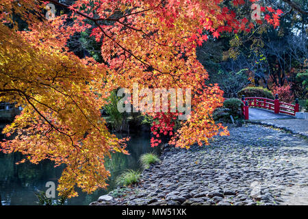 La ville de Nara, Japon , Couleurs d'automne Banque D'Images