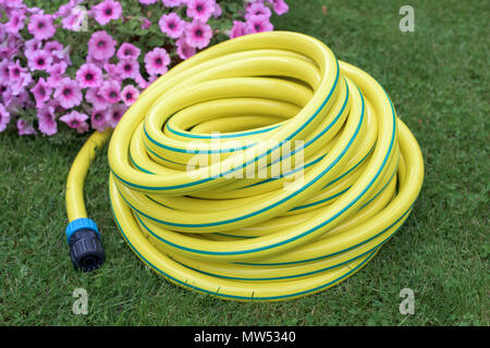 Tuyau flexible en plastique jaune dans un jardin Banque D'Images