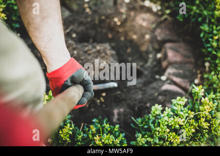 Travaux de jardinage. L'homme creuse dans le jardin, fait des semis. Un jardinier habillé en pantalon et chaussures de travail fait le travail. Vue de dessus d'un homme au travail Banque D'Images