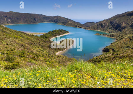 Voir le lac bleu Lagoa do fogo avec des fleurs jaunes en premier plan et le ciel bleu clair Banque D'Images