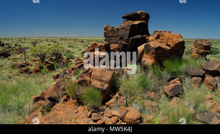 Quiver Tree ou kokerboom forest géants et un terrain de sport près de Keetmanshoop, Namibie Banque D'Images