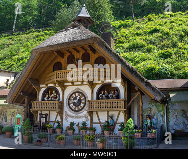 Cuckoo Clock dans la chambre de la taille à la Chambre des tousand horloges, village de Triberg, Forêt-Noire, Bade-Wurtemberg, Allemagne, Europe Banque D'Images