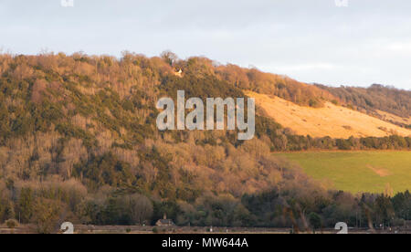 Vue de Fort Hill, près de Dorking dans le Surrey, en Angleterre. Avec des arbres sans feuilles en hiver le soleil. Banque D'Images